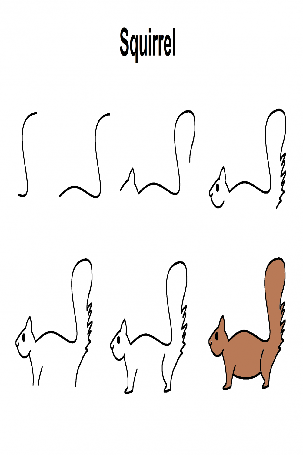Squirrel  Easy drawings, Elementary drawing, Drawings