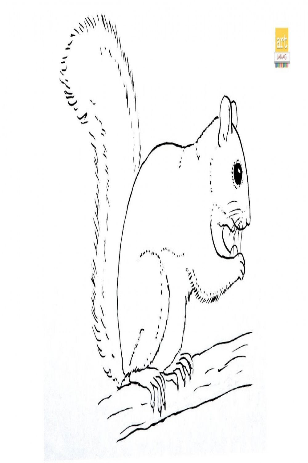 Squirrel outline drawing II Squirrel drawing II How to draw A Squirrel step  by step II #artjanag