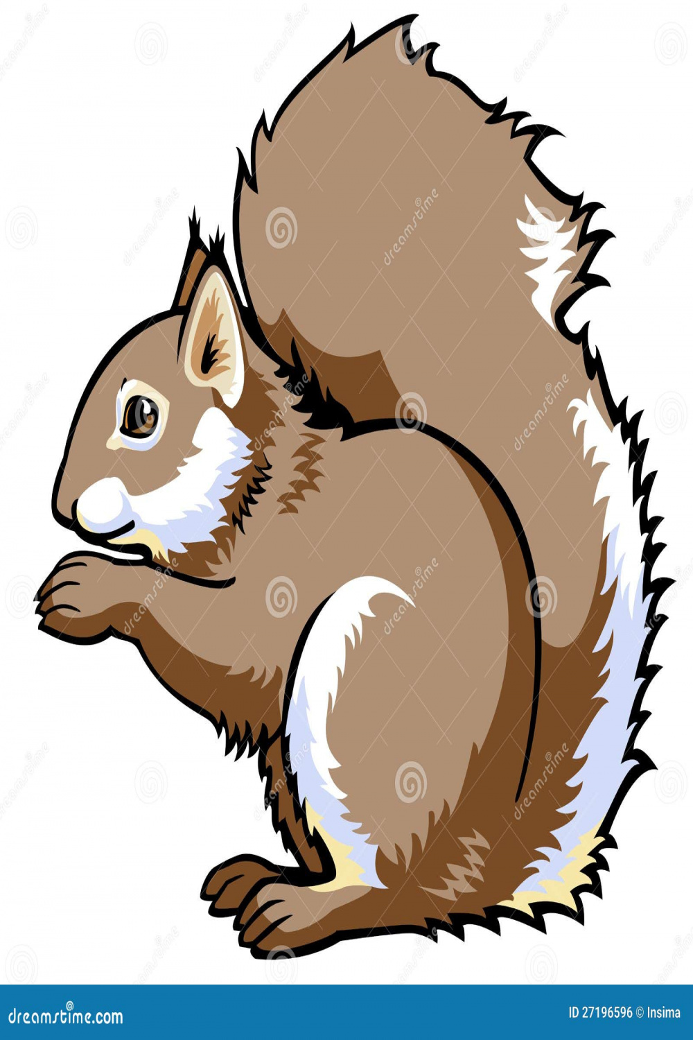 Squirrel Side View Stock Illustrations –  Squirrel Side View