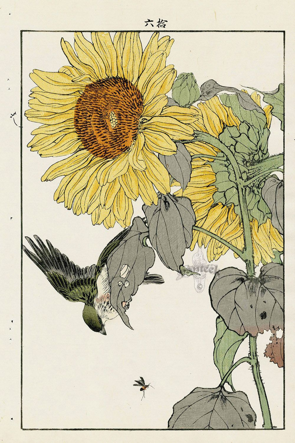 Sunflower, Bunting from Imao Keinen Kacho original Japanese