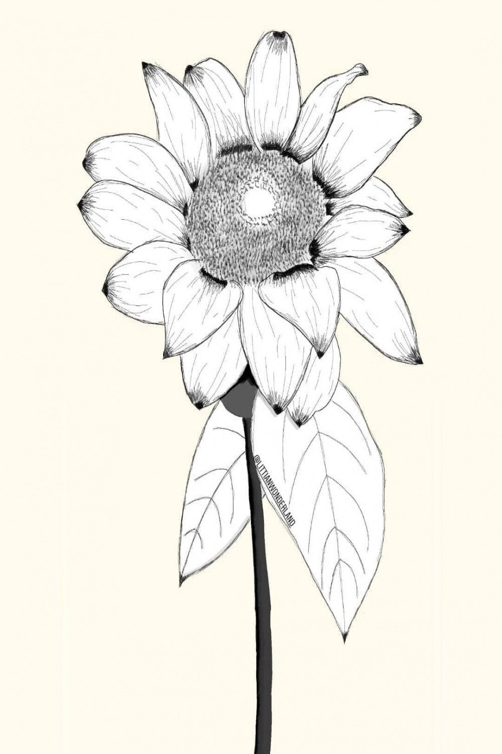 Sunflower 🌻(ibisPaint x) . . . . . . . . . .