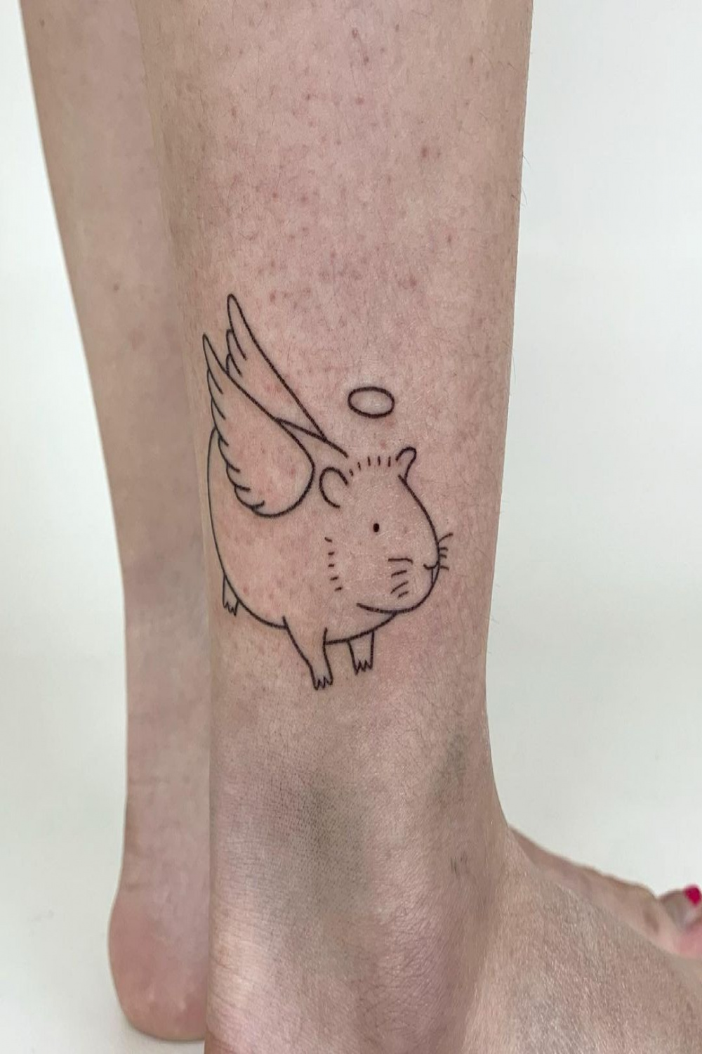 Tattoo uploaded by Tattoodo • Guinea Pig tattoo by kitstattoo