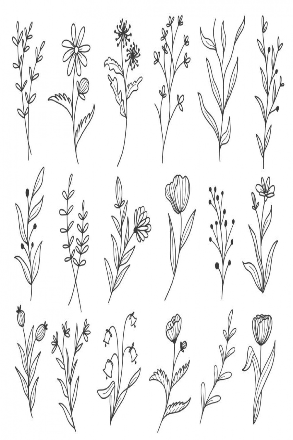 The Art of Flower Drawing  A Beginner