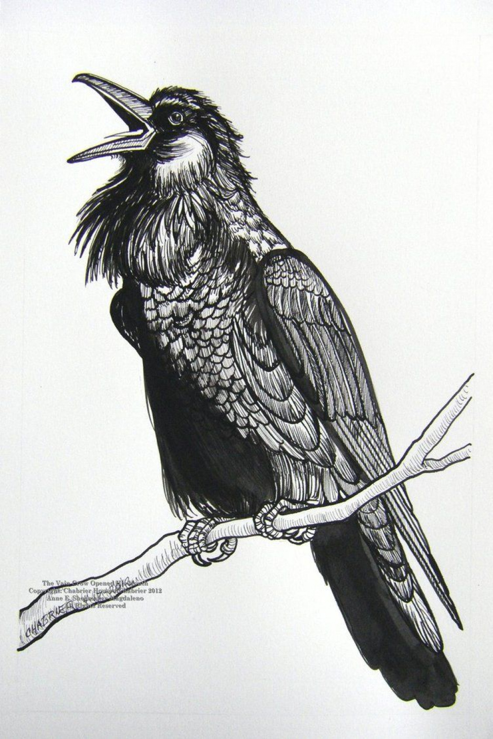 The Vain Crow Opened his Mouth to Sing by HouseofChabrier on