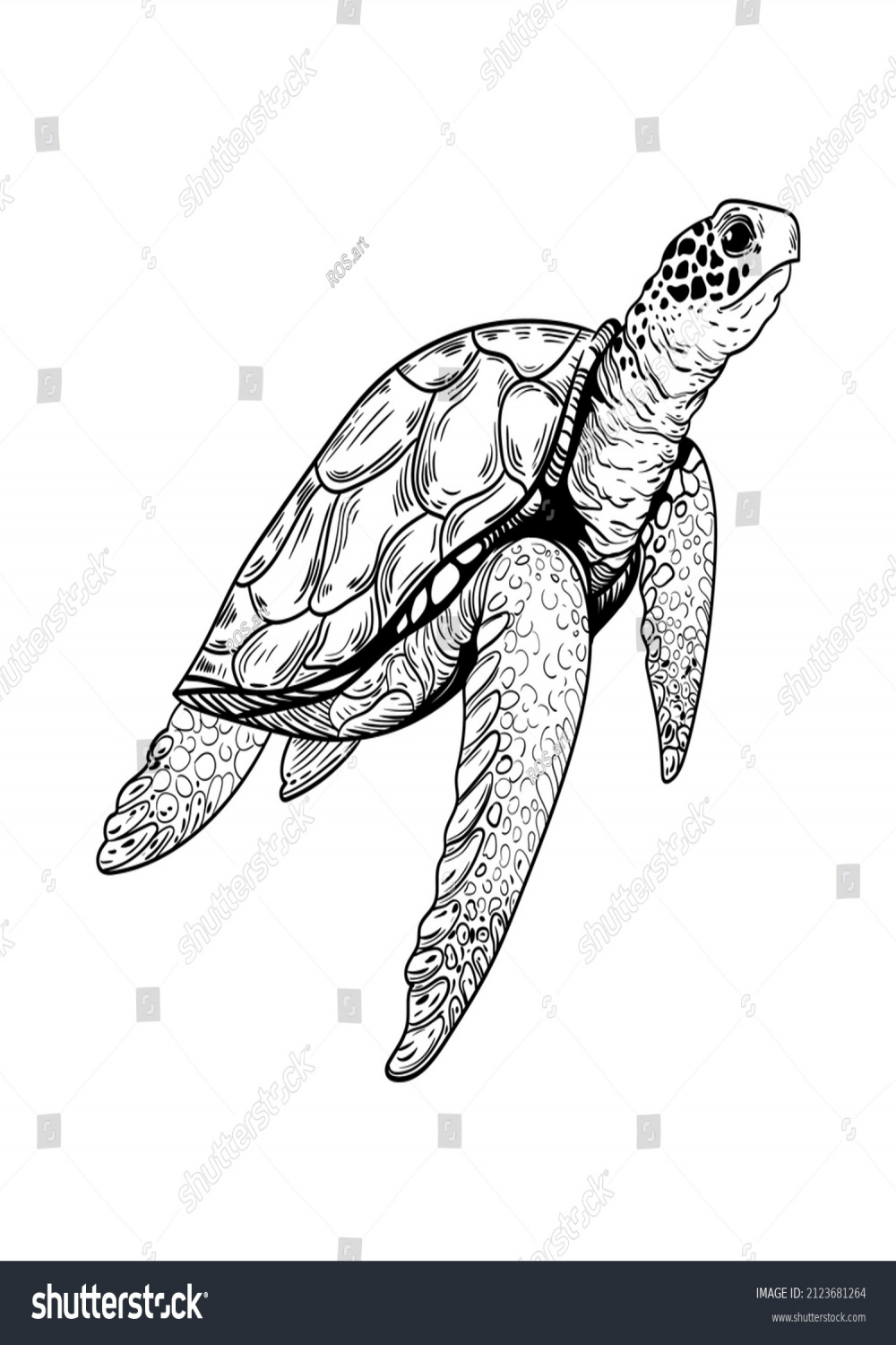 Tier-Illustration, Vektorschildkröte: Stock-Vektorgrafik