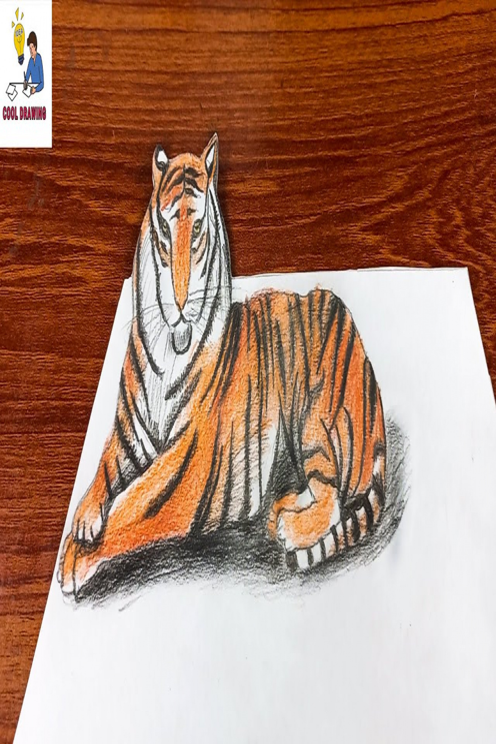 Tiger Drawing Tutorial  D Tiger Drawing  Drawing tiger  How to draw a  tiger  Drawing animals