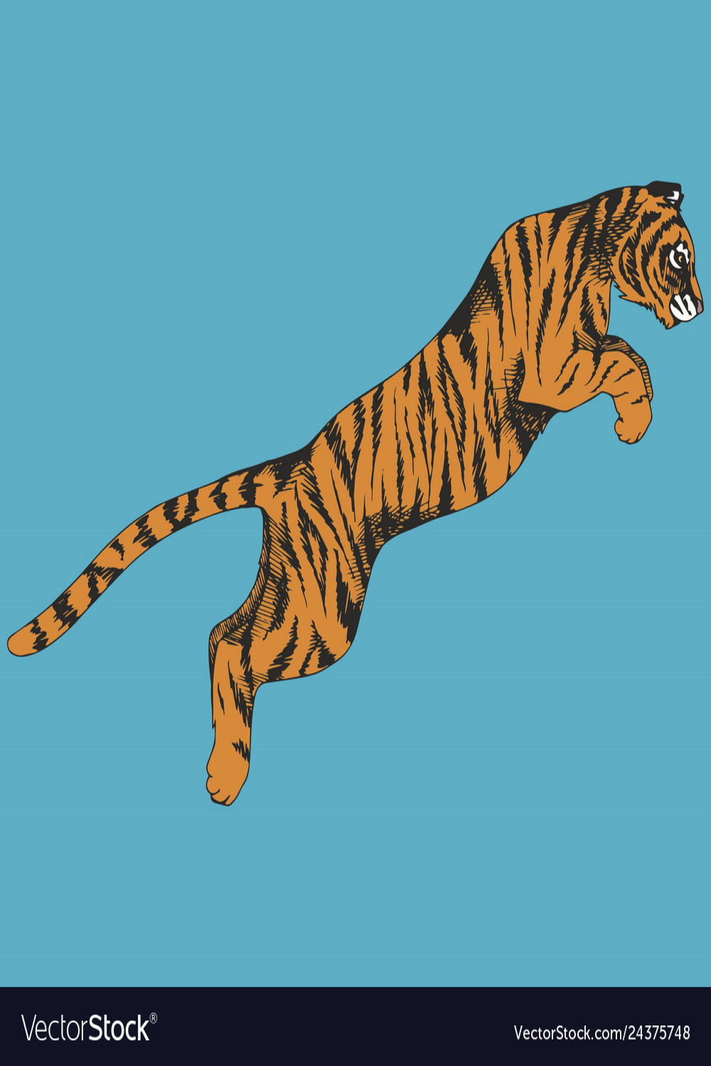 Tiger in a jump hand drawing Royalty Free Vector Image