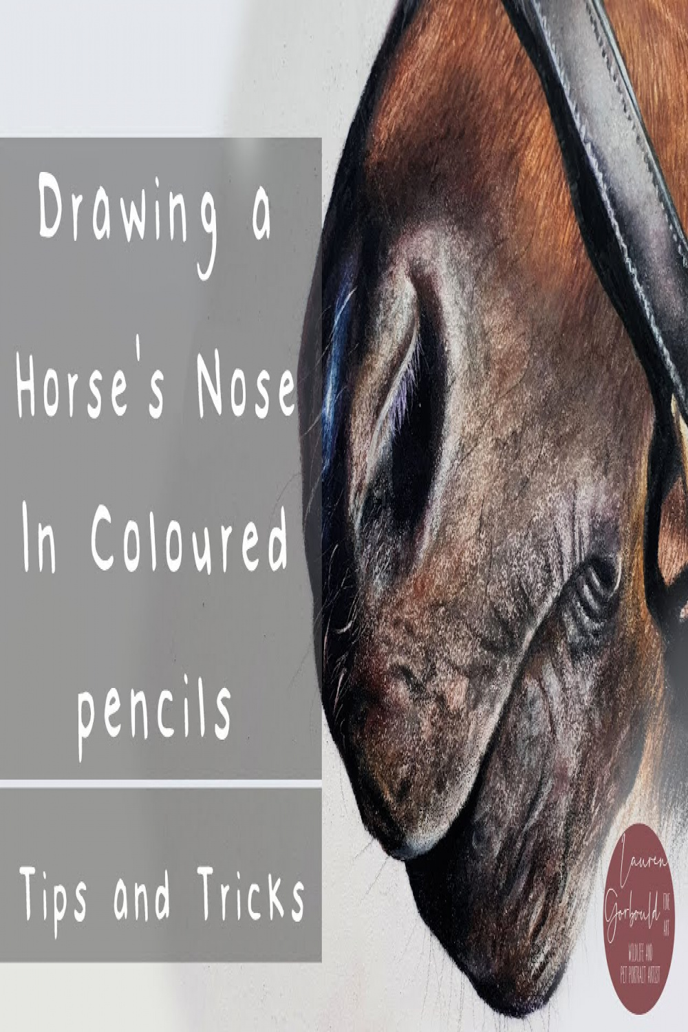 Tips For Drawing a Realistic Horse