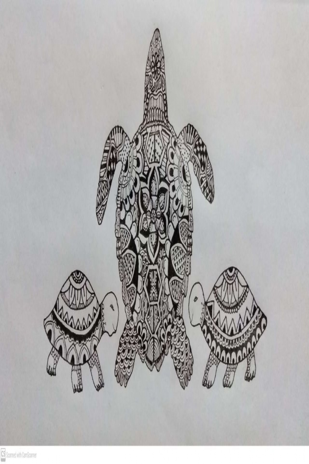 Tortoise drawing  Zentangle art  Zentangle Tortoise  Nova