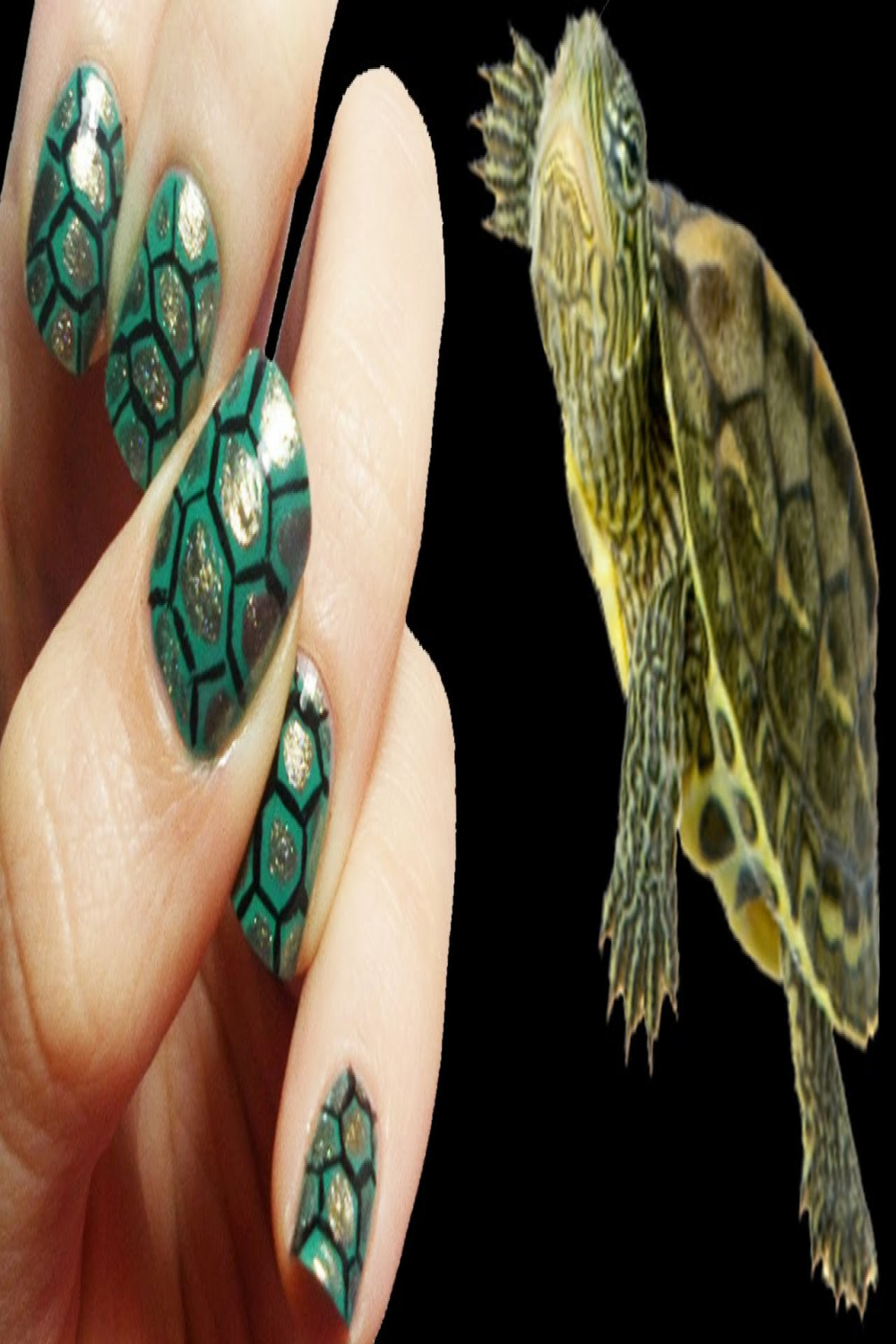 Turtle Nail Art & sorpresa  Turtle nails, Turtle nail art, Nail art
