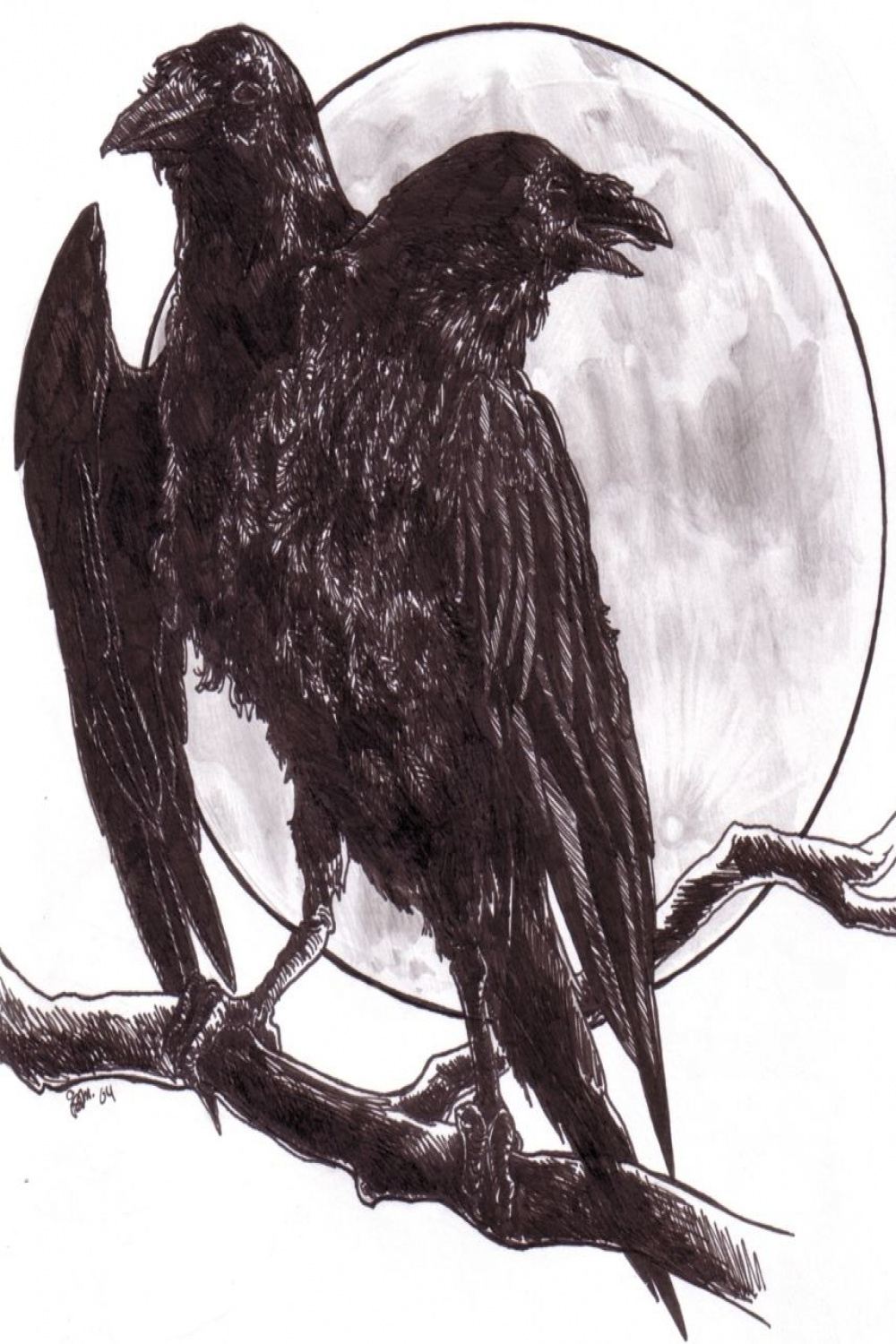 two headed raven  Crows drawing, Crow images, Drawings