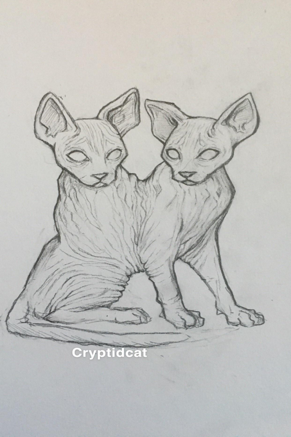 Two headed Sphinx < : r/learnart