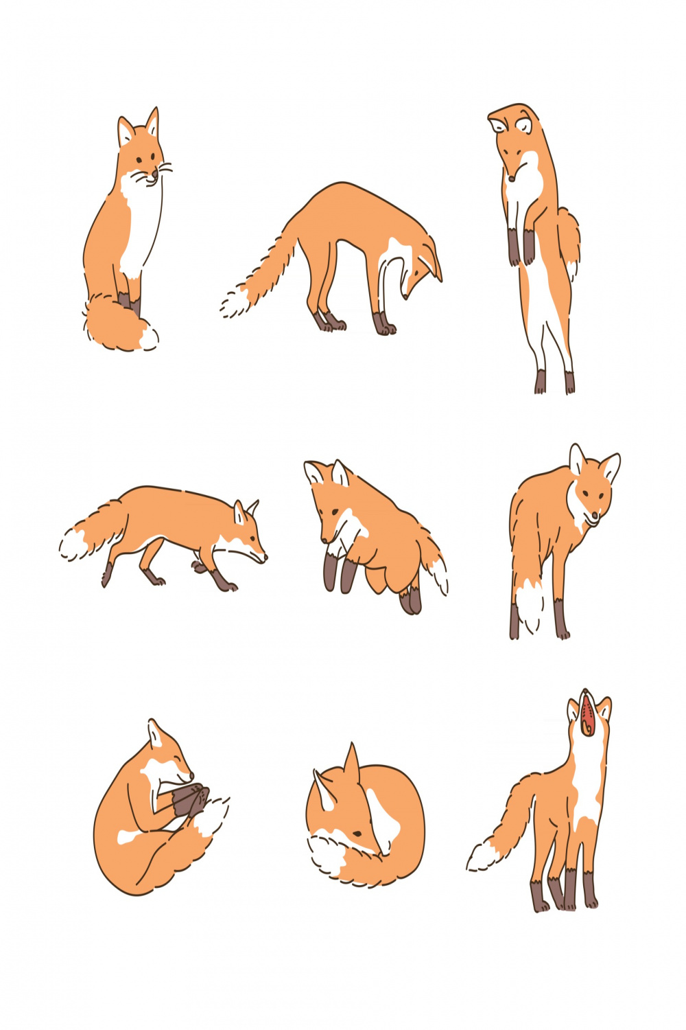 Various poses of the fox