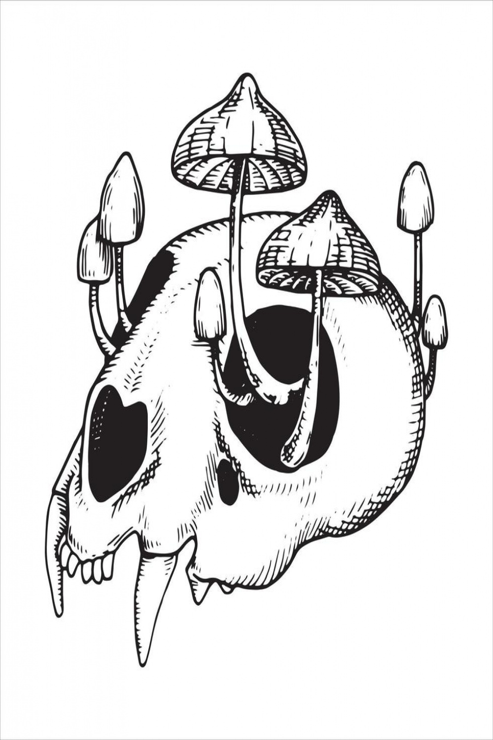 vector drawing skull and poisonous mushrooms
