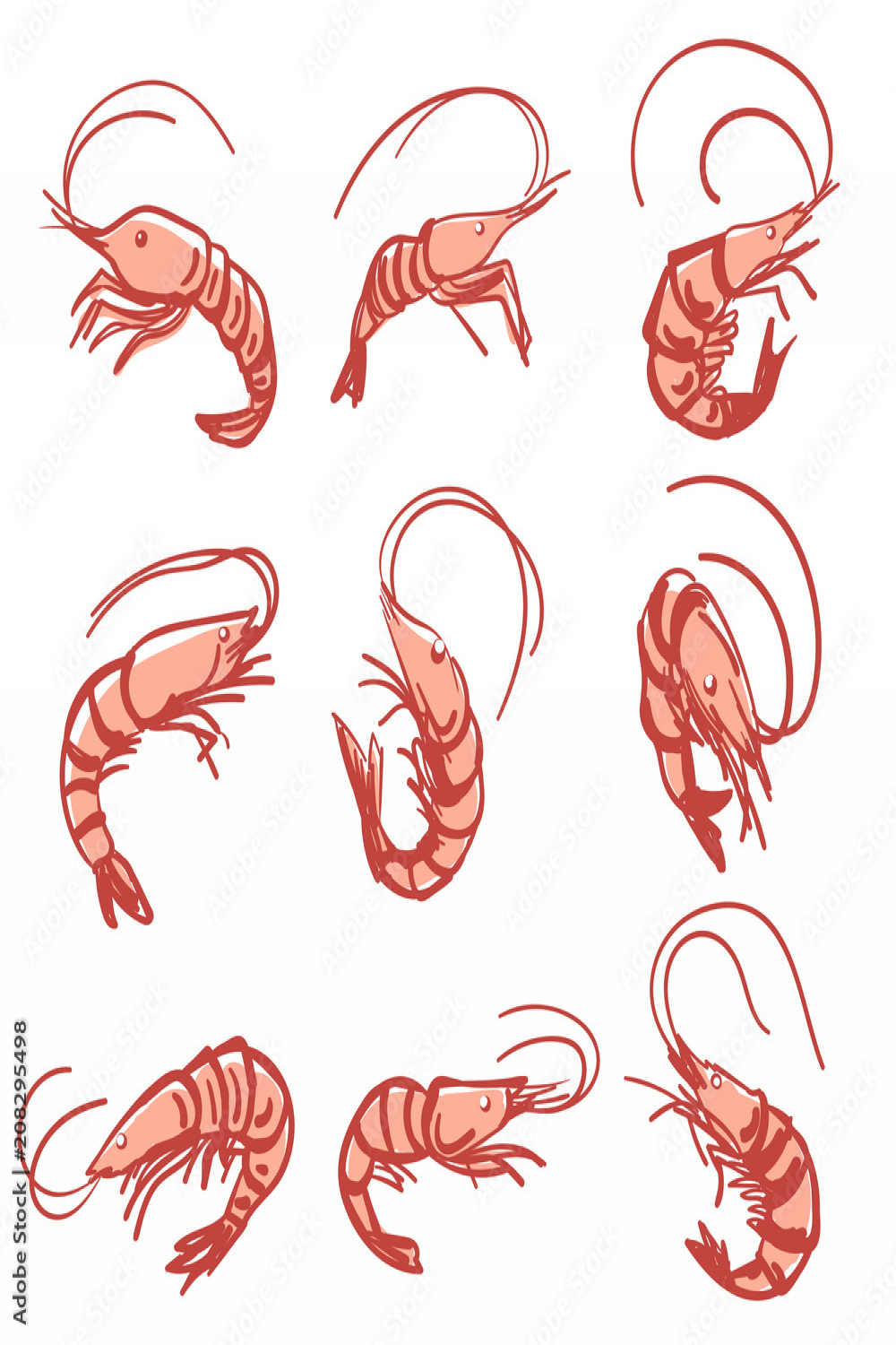 Vector Isolated Shrimp drawing Stock-Vektorgrafik  Adobe Stock
