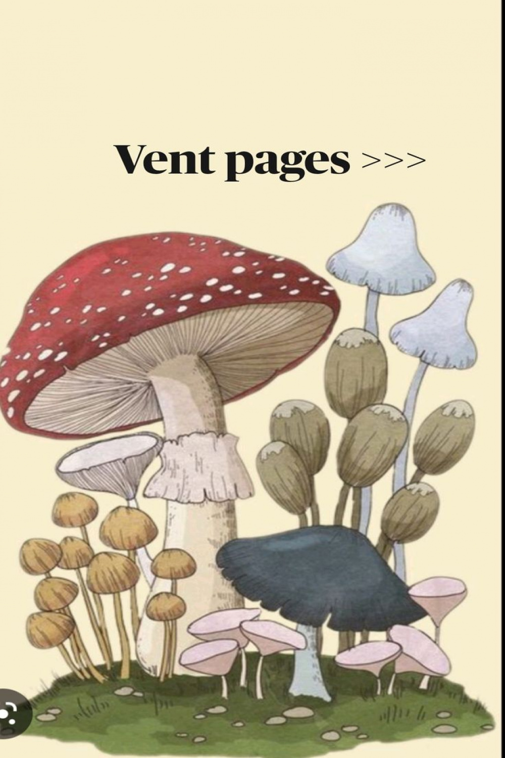 Vent pages >>>  Vintage poster art, Cute drawings, Mushroom art