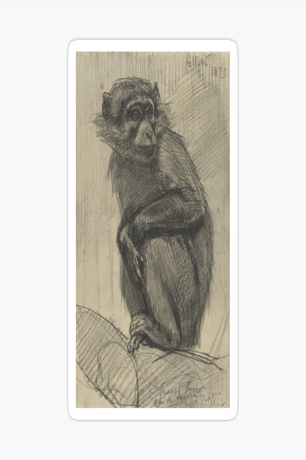 Vintage Monkey Drawing - Jungle Decor  Art Board Print
