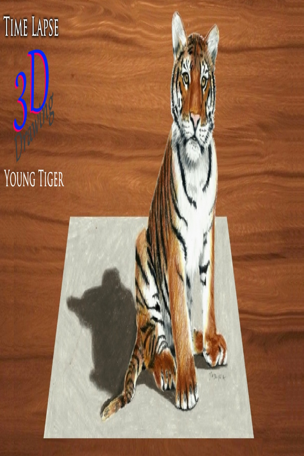 Watch Clip: Time Lapse D Drawing: Young Tiger  Prime Video