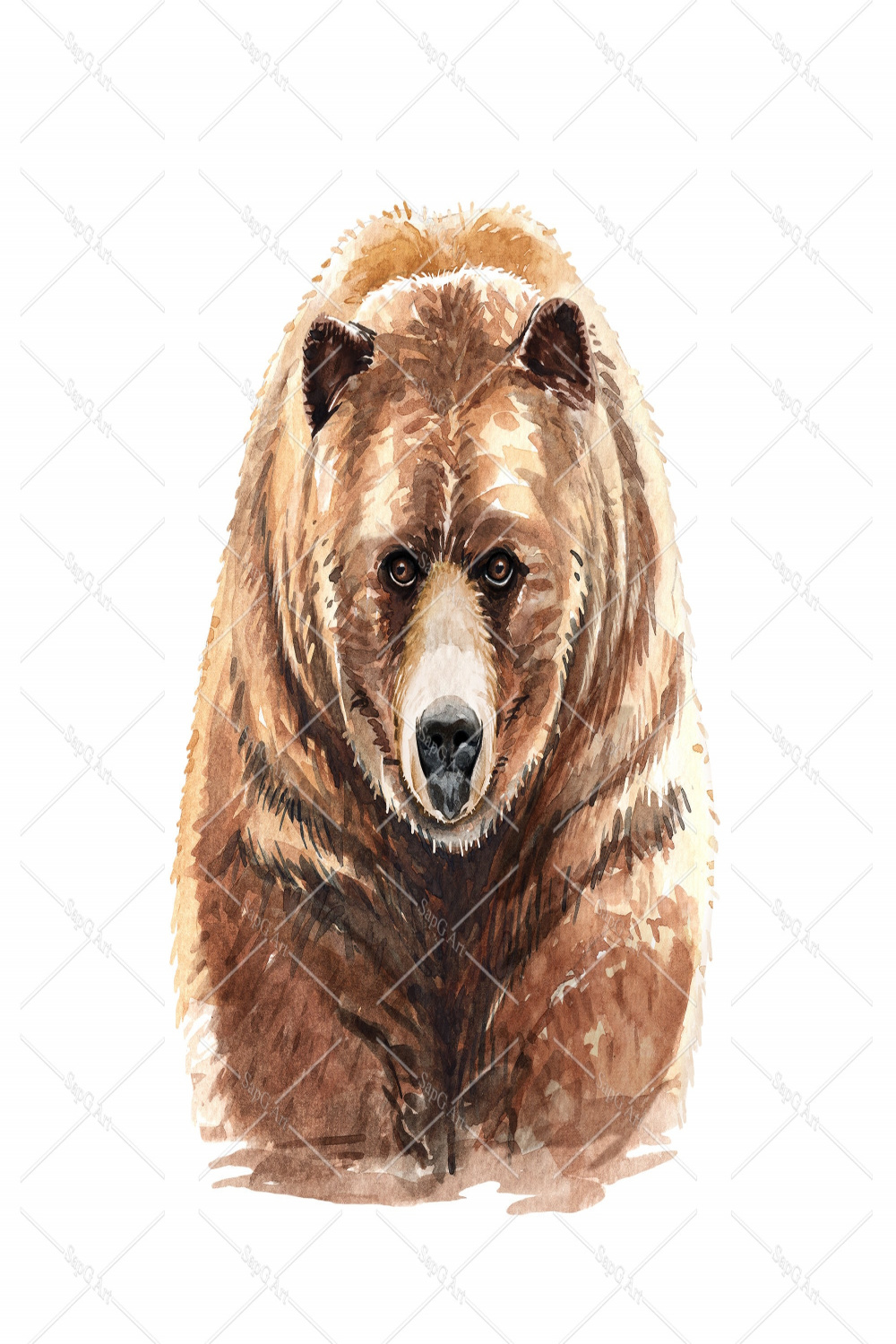 Watercolor brown bear