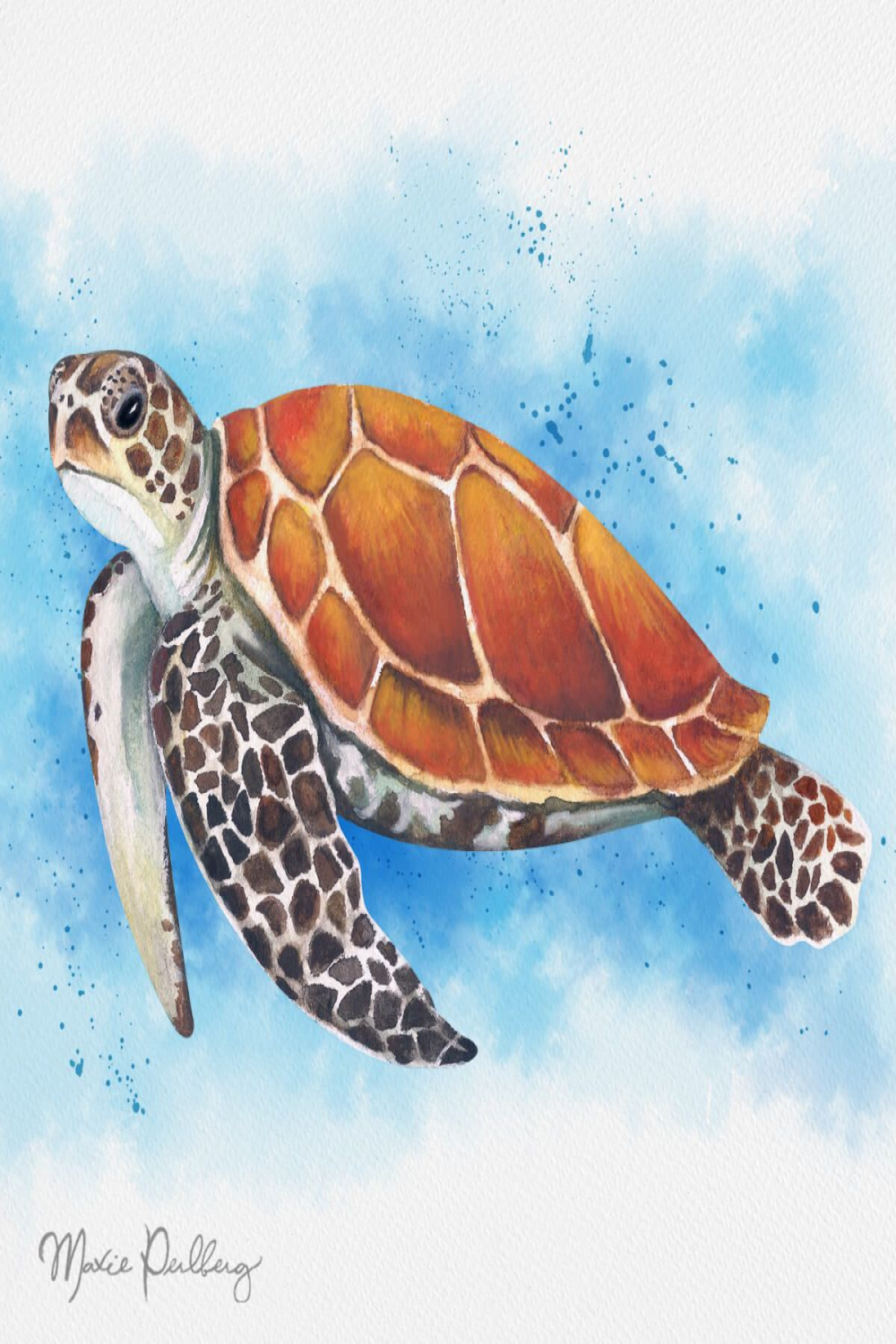 Watercolor Sea Turtle  Turtle watercolor, Turtle drawing, Sea
