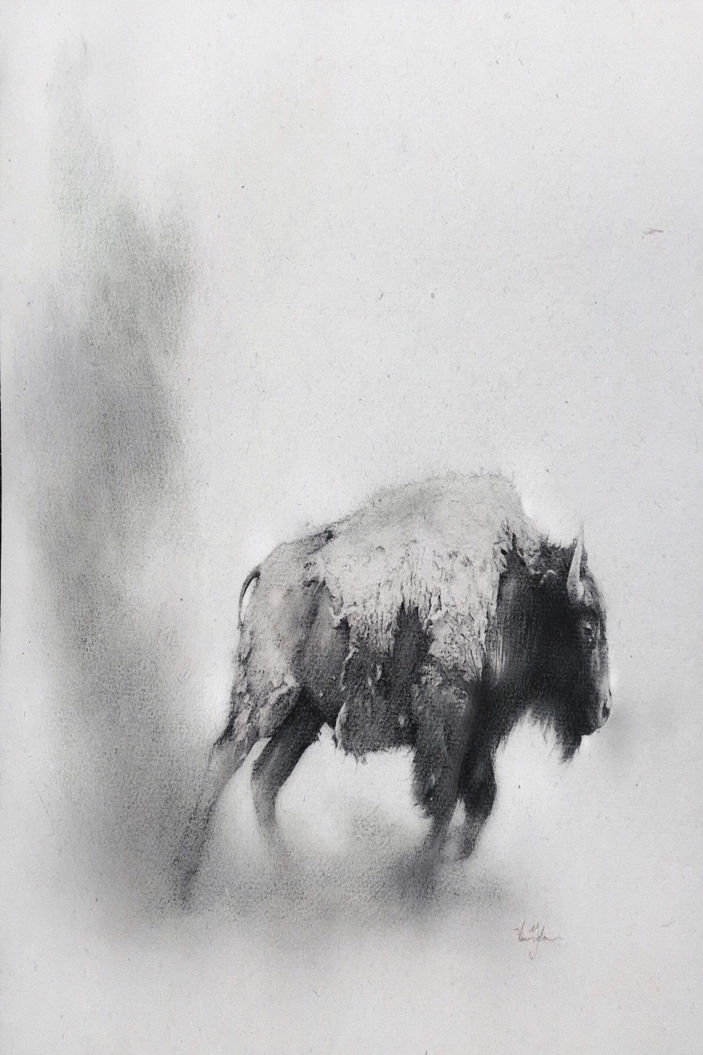 Wayward – Western Gallery