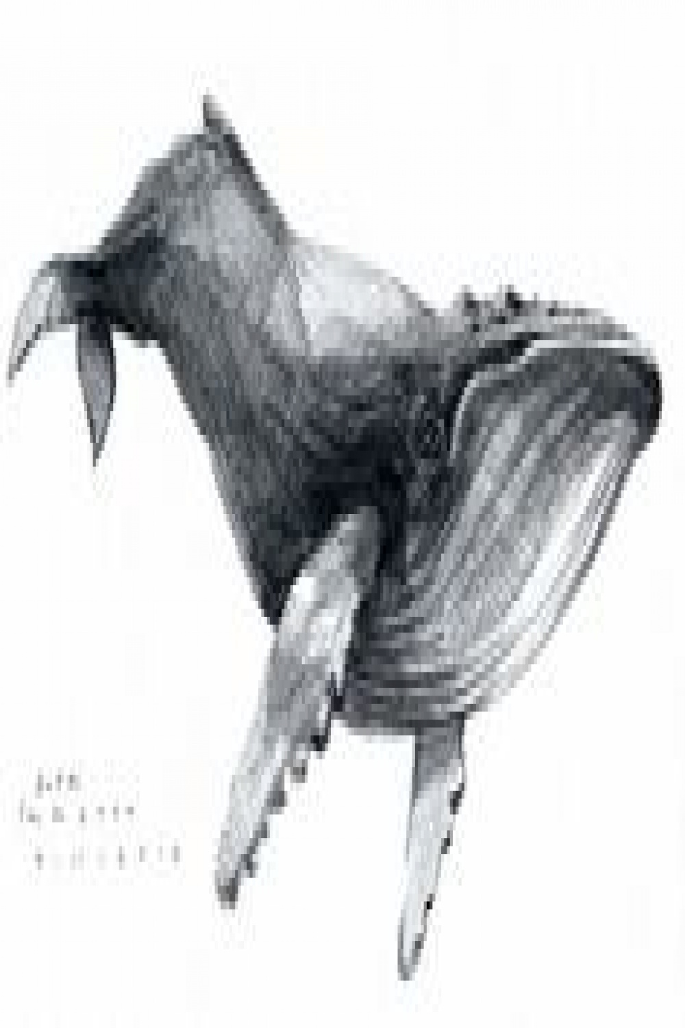 whale art reference