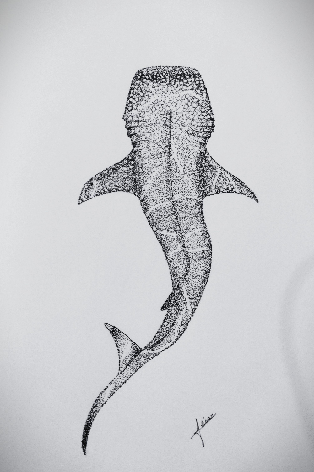 Whale Shark, me, pens,  : r/Art