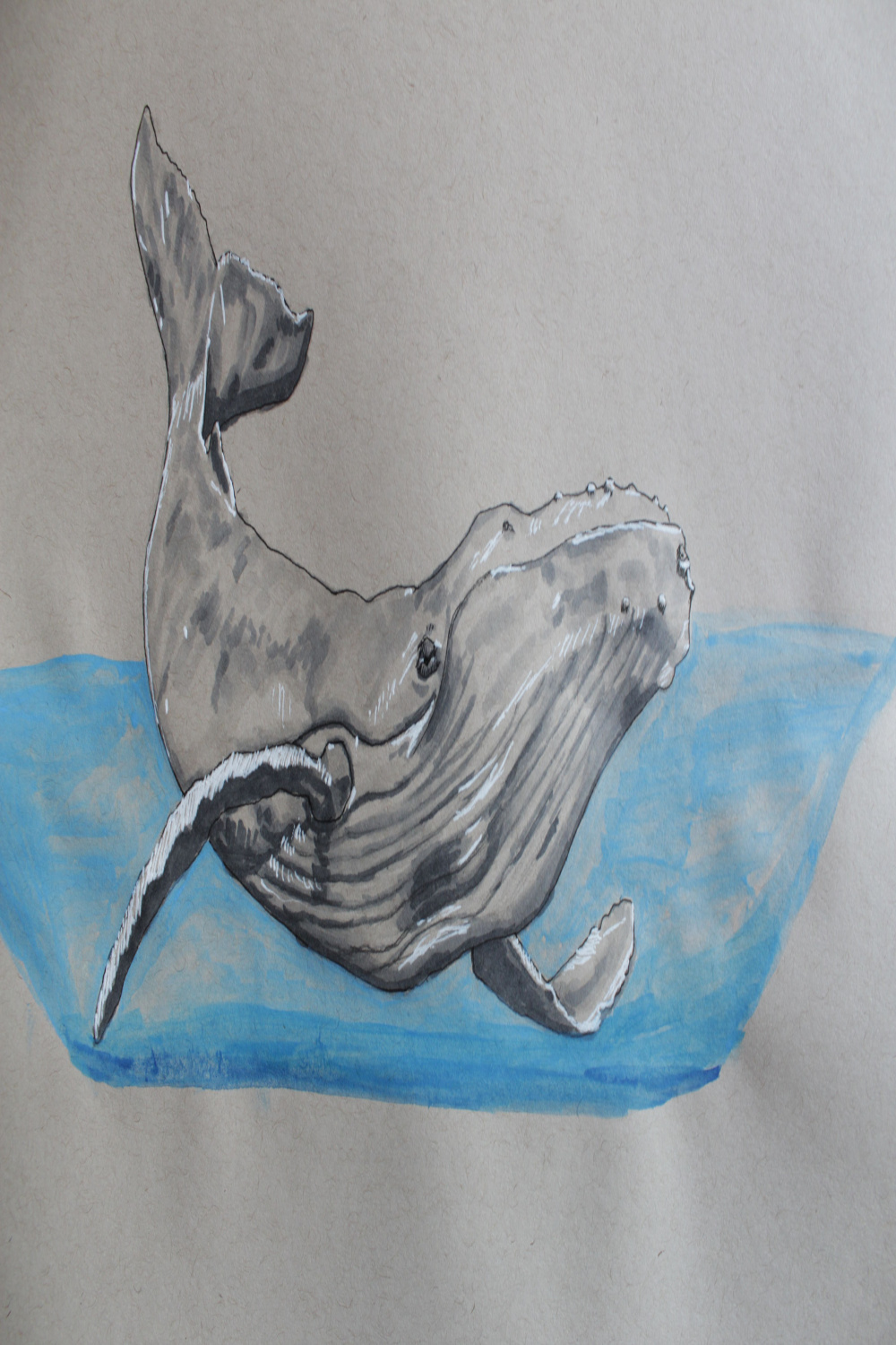 Whale, Whale, Whale