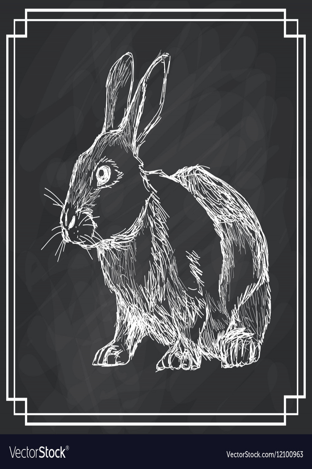 White bunny sketch dark background Royalty Free Vector Image