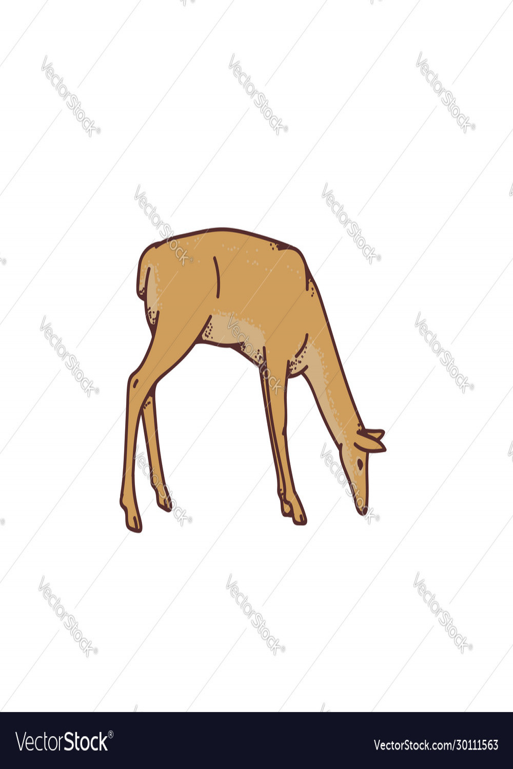 Wild deer female grazing outline sketch Royalty Free Vector
