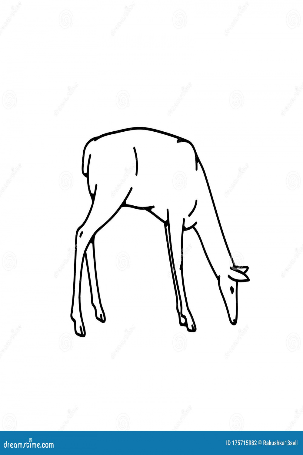 Wild Deer Female Grazing Vector Outline Black White Sketch