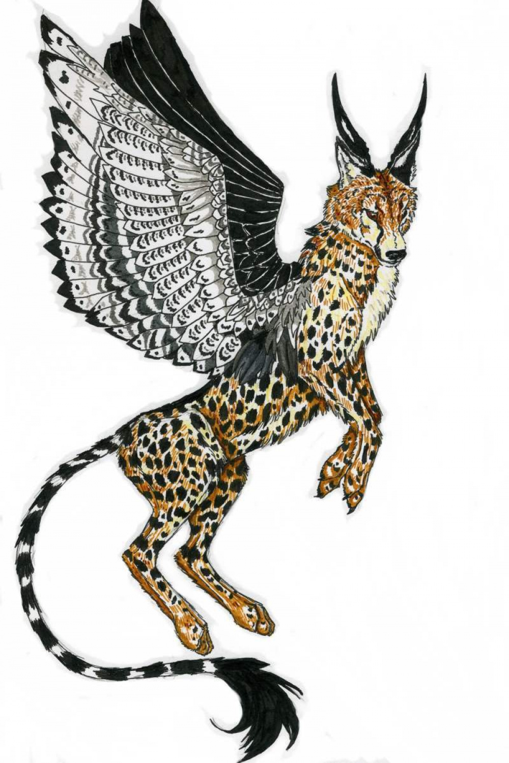 Winged Cheetah by Allokai on DeviantArt