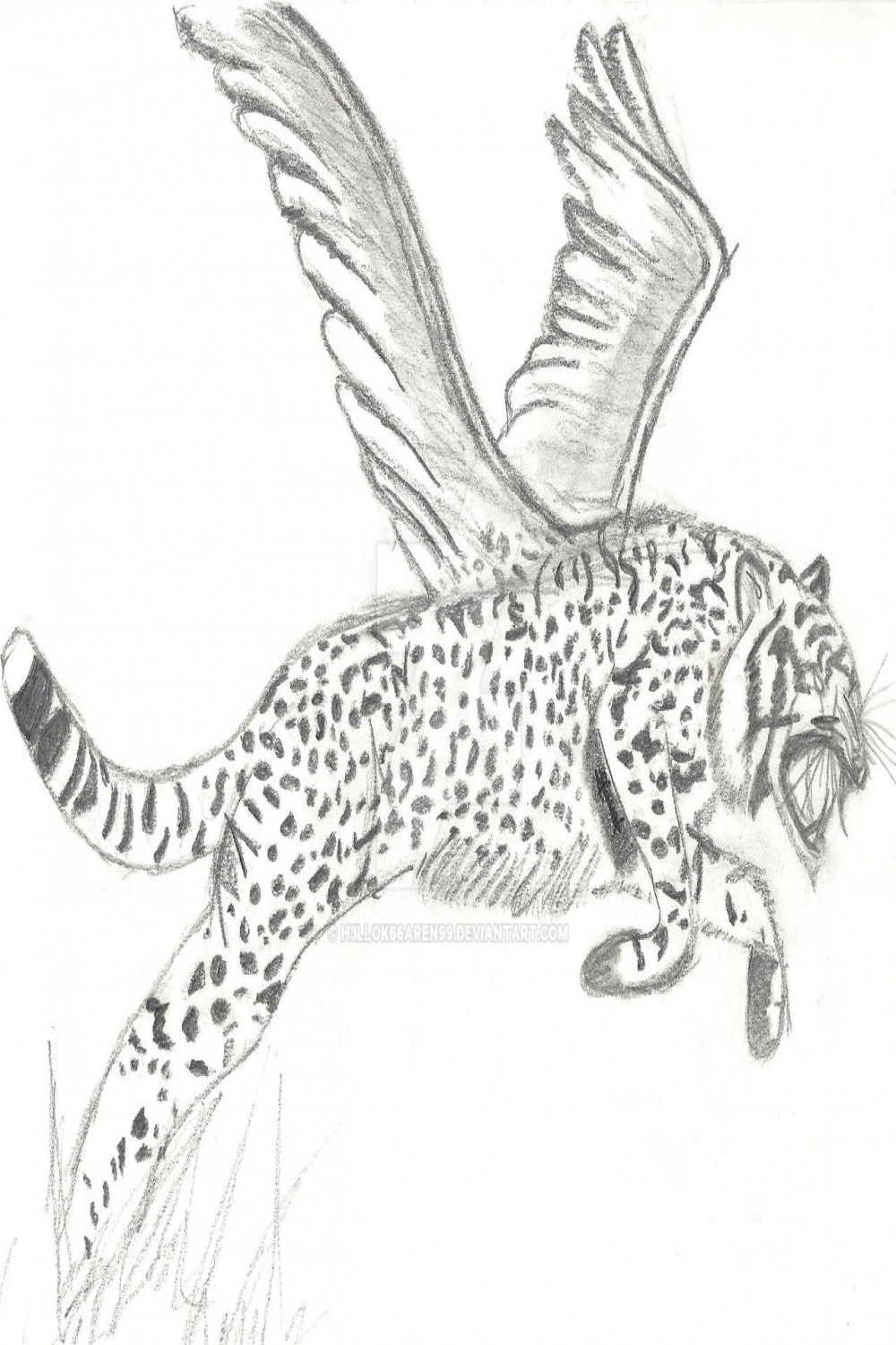 Winged Cheetah by HLLoKaren on DeviantArt