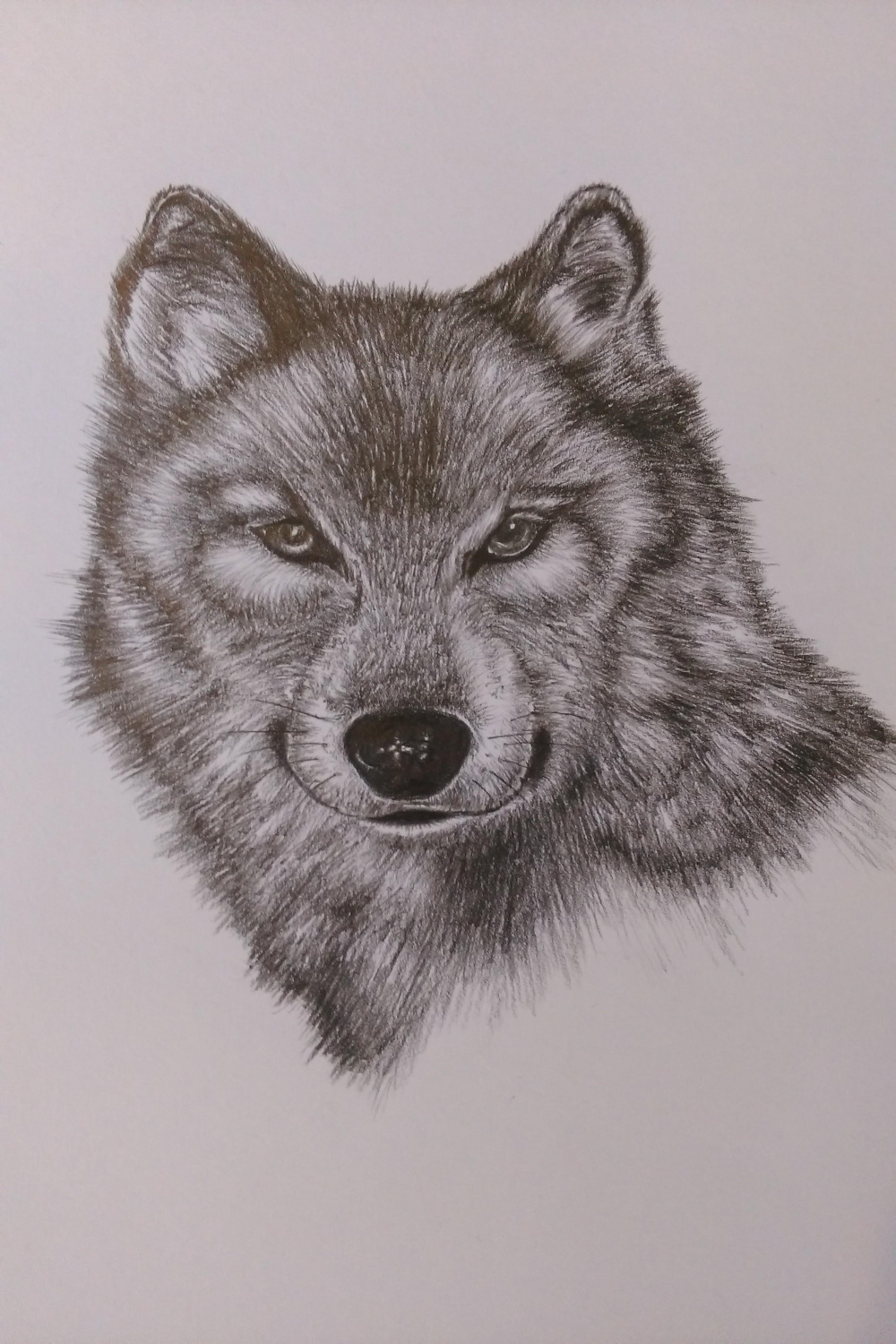 Winter wolf