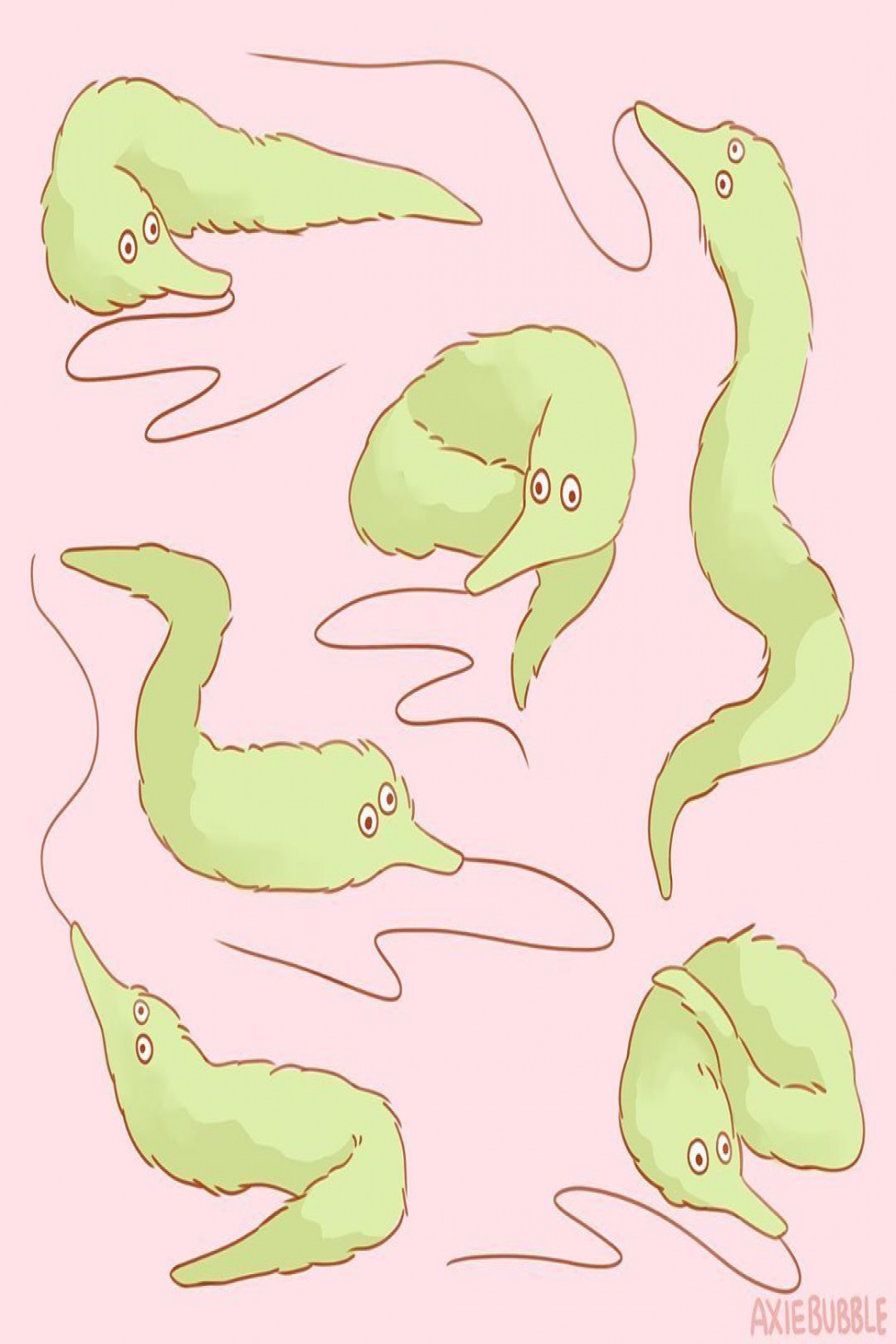 Worm on a string ideas  worms, string, memes