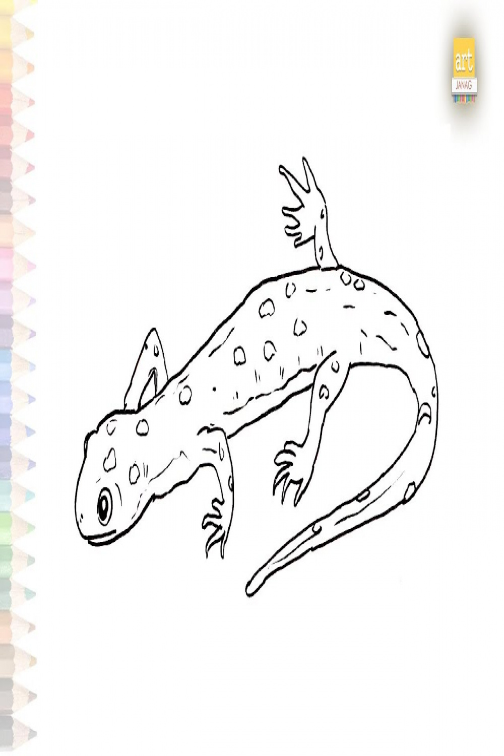 Yellow spotted lizard drawing  lizard drawing videos  How to draw Yellow  spotted lizard easy step