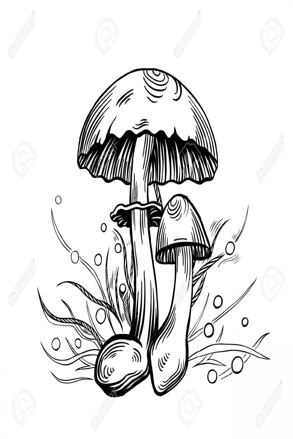 Yellow Staining Mushroom With Grass On Background In Engraved