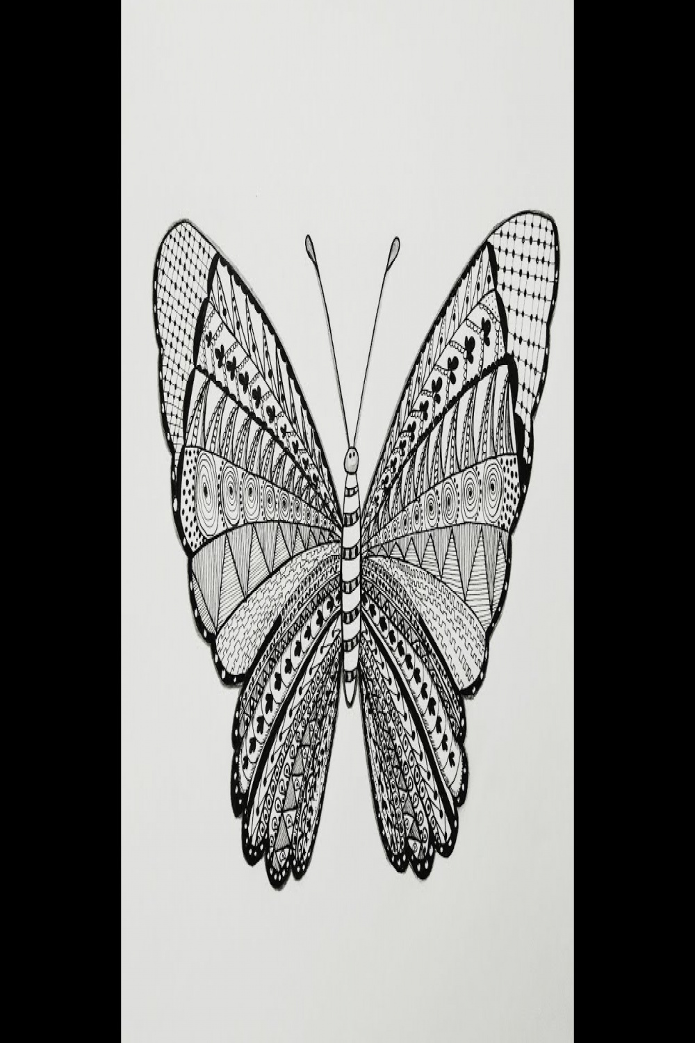 Zentangle Art  Butterfly Drawing  Time Lapse Video