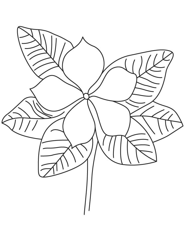50+ Color Purple Coloring Pages 16
