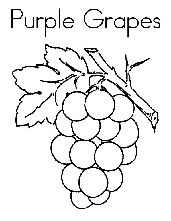 50+ Color Purple Coloring Pages 17