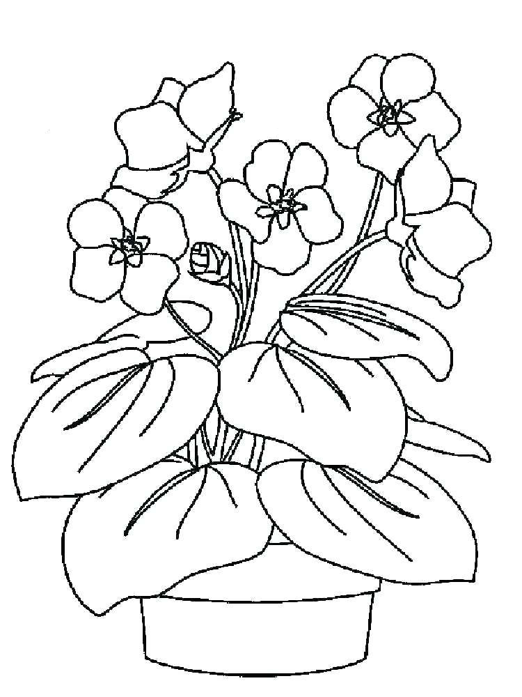50+ Color Purple Coloring Pages 23