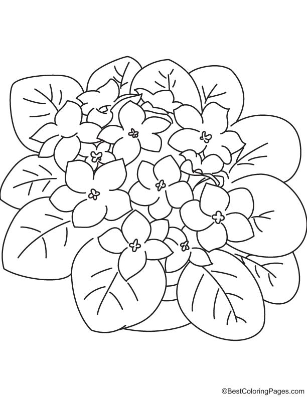 50+ Color Purple Coloring Pages 27