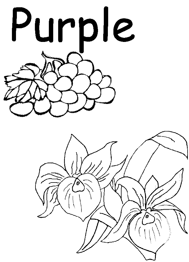 50+ Color Purple Coloring Pages 30