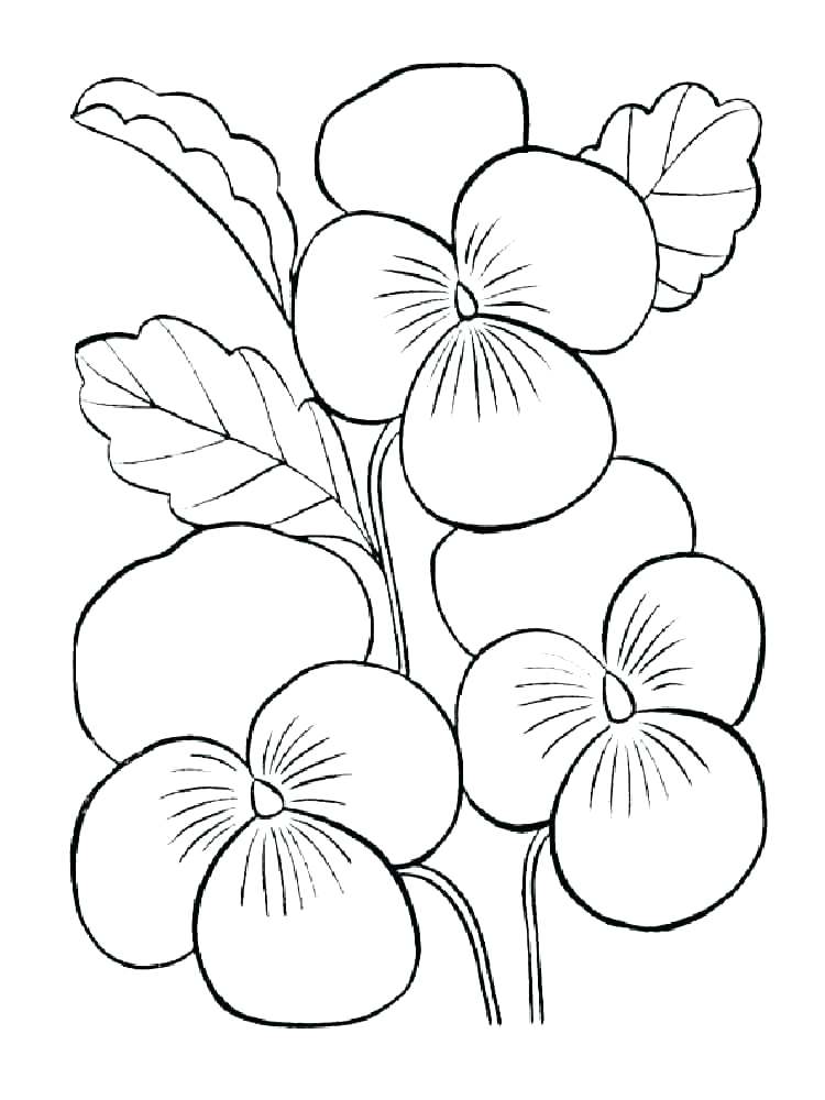 50+ Color Purple Coloring Pages 54