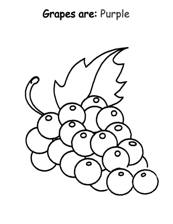 50+ Color Purple Coloring Pages 6