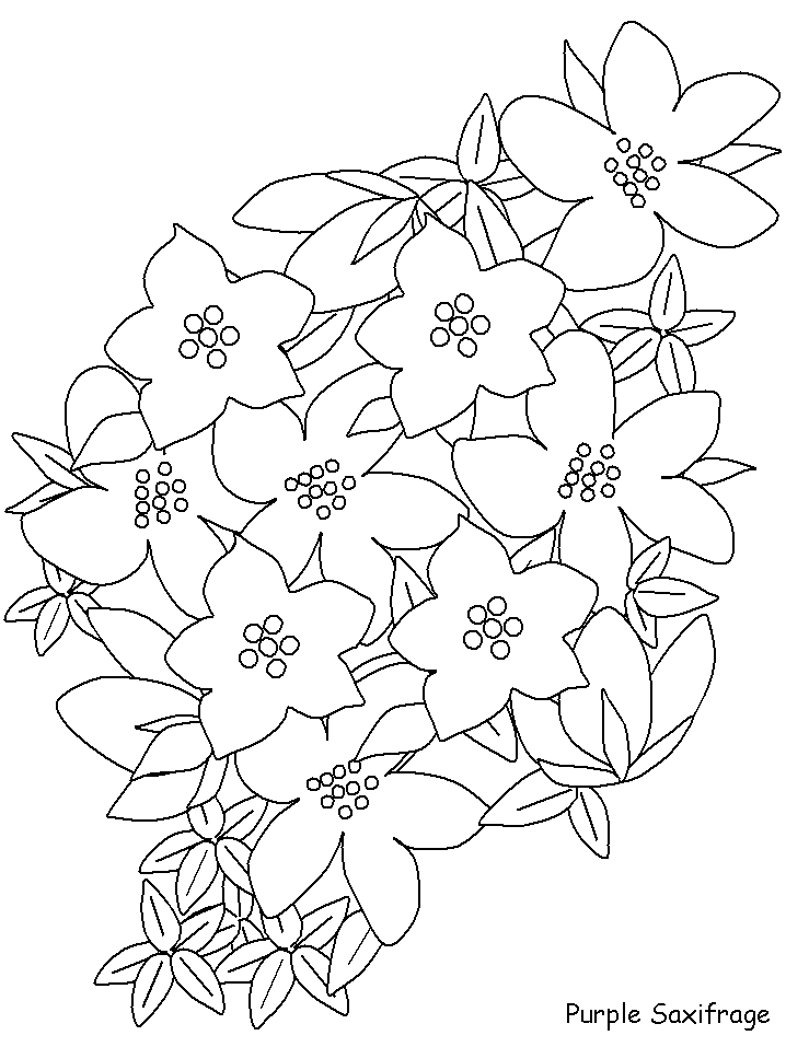 50+ Color Purple Coloring Pages 93