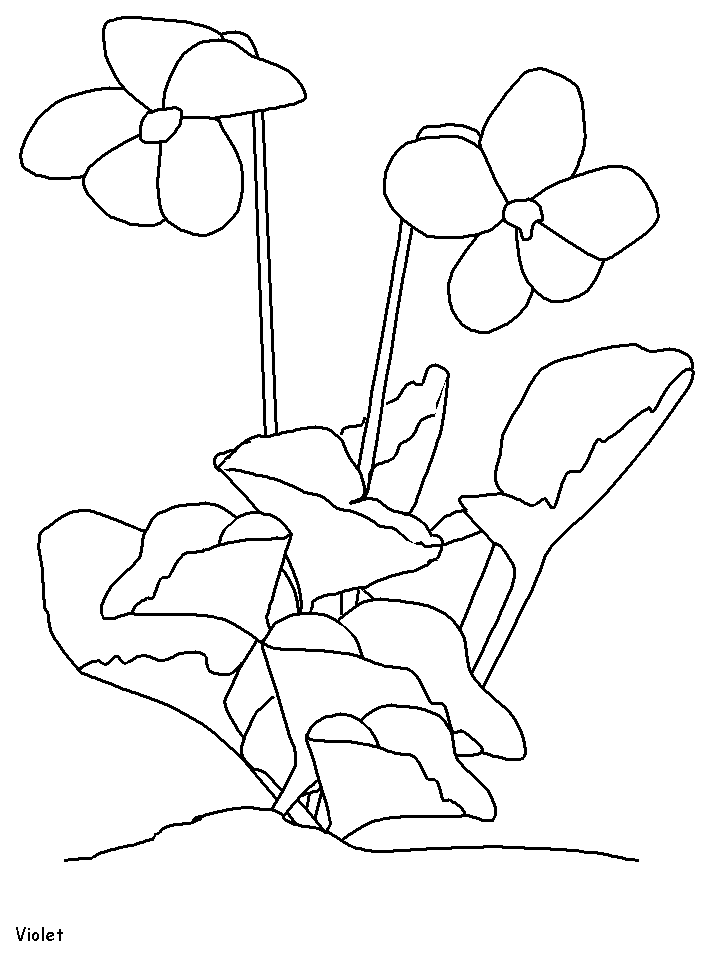 50+ Color Purple Coloring Pages 94