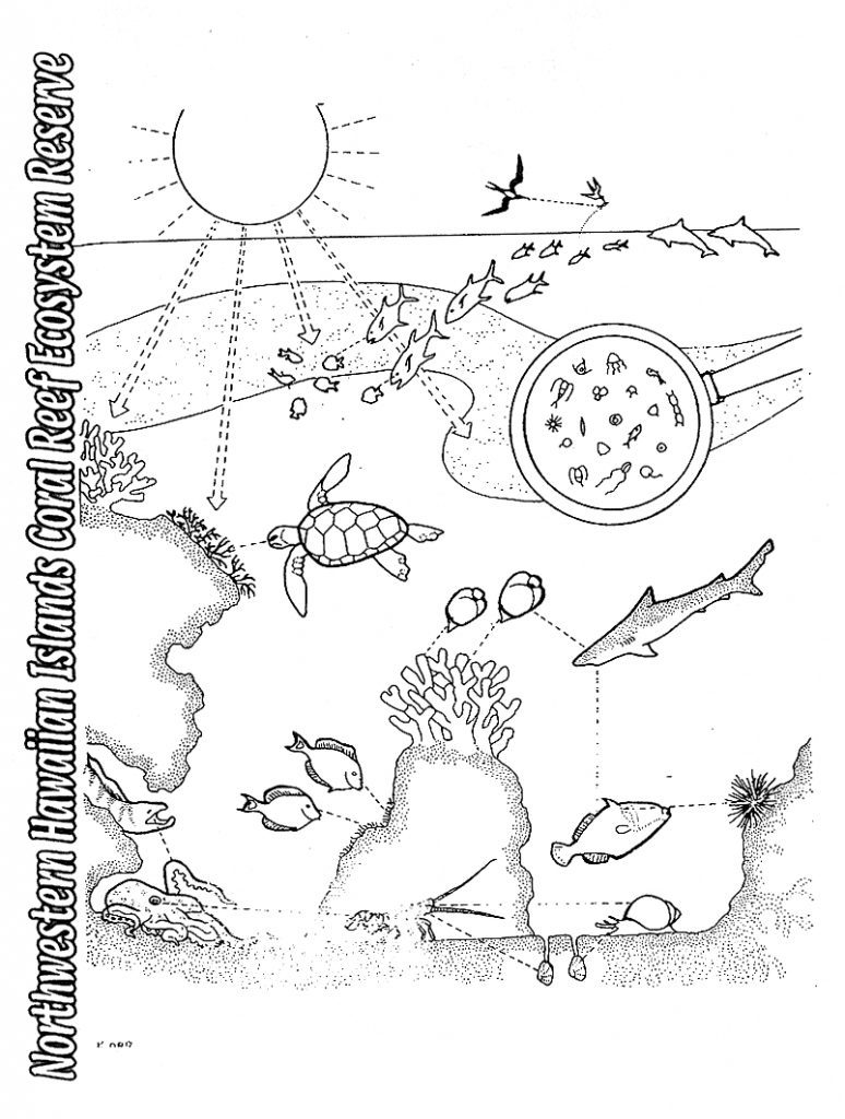 Best 68+ Funny Food Coloring Pages 53