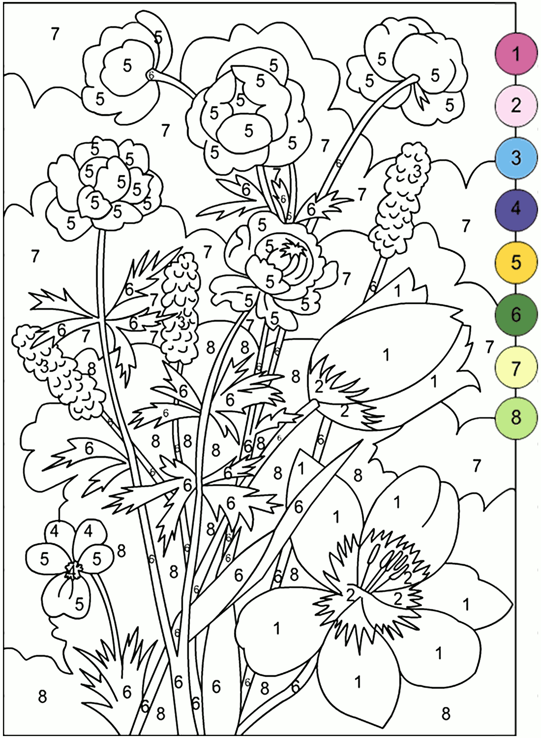 Coloring Books By Number 1