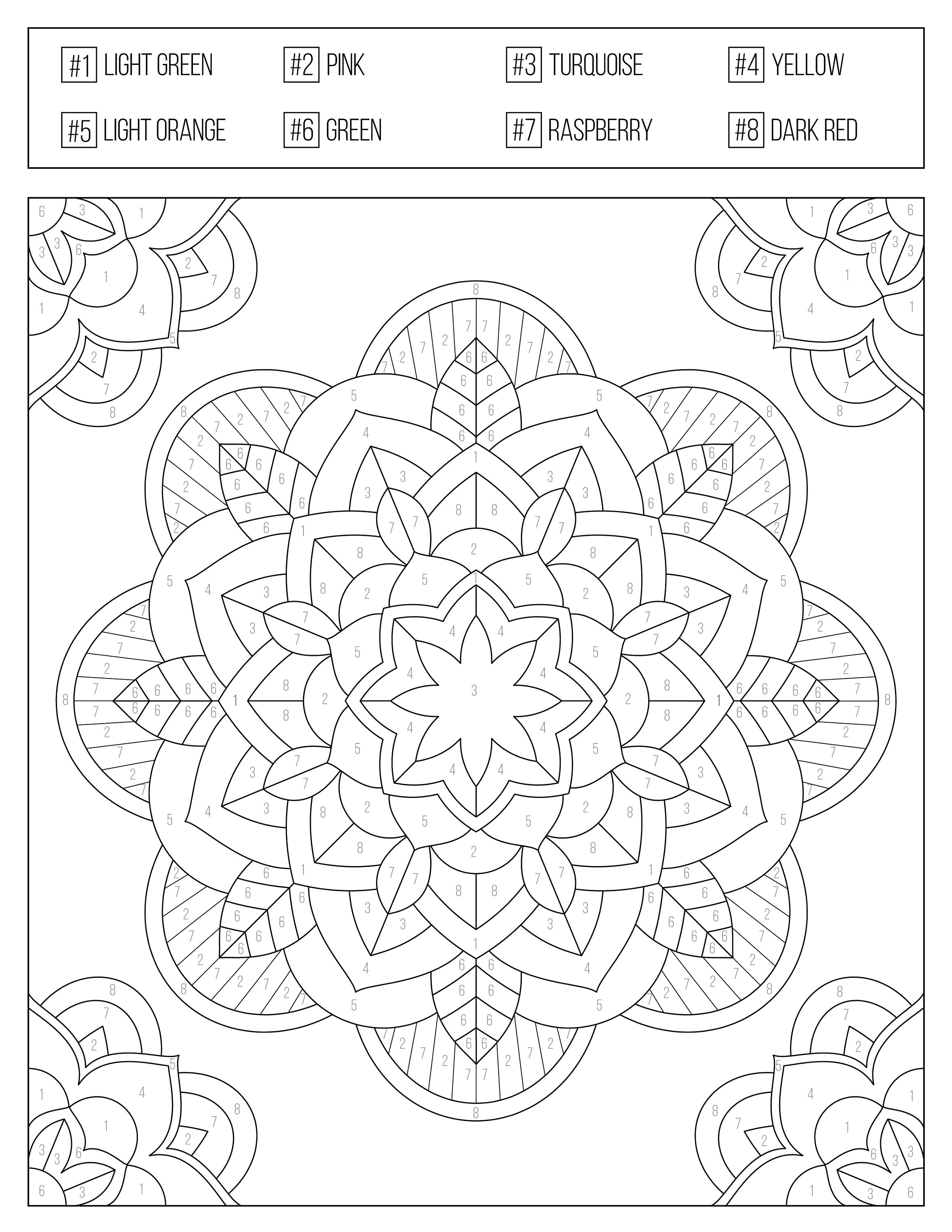 Coloring Books By Number 2